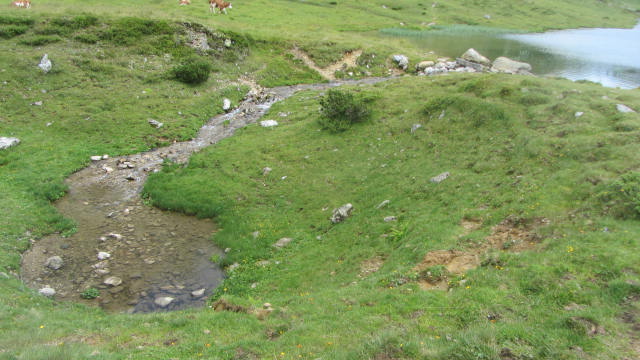 schwinde am oberhüttensee kalkspitz 2019 207